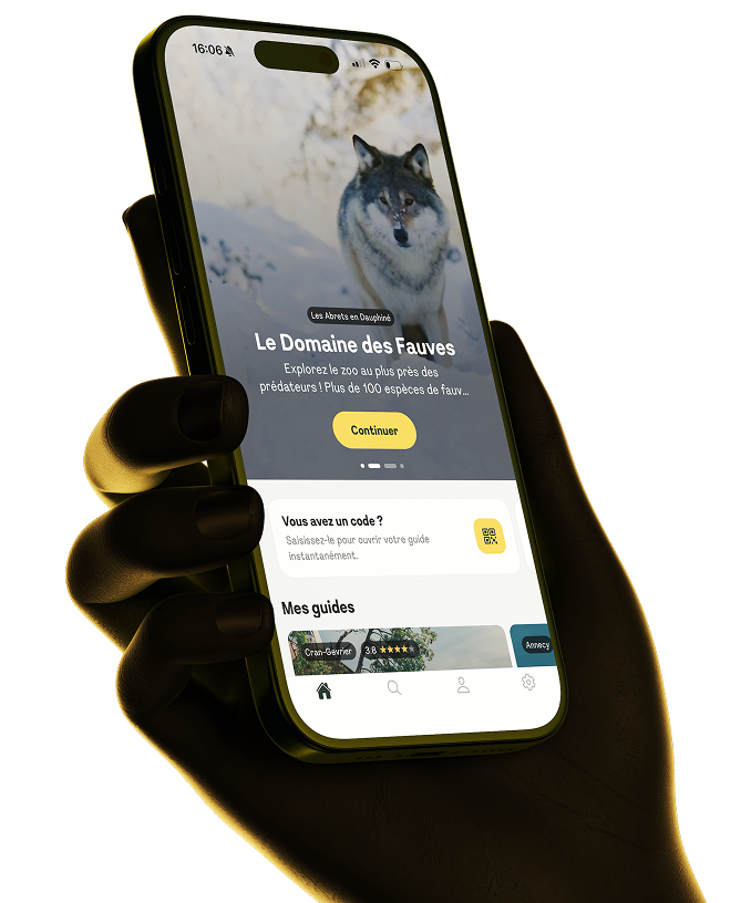 Application Foro sur iPhone